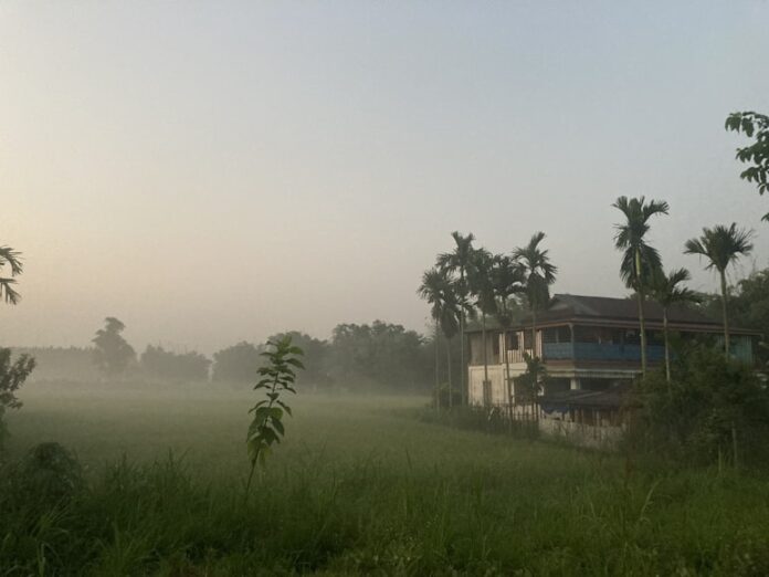 Sita Morning